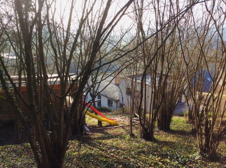 Foto vanuit privé bosje